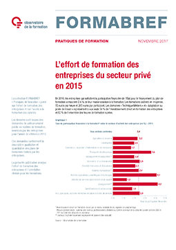 L'effort de formation des entreprises du secteur privé en 2016