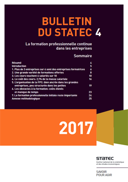 La formation professionnelle continue au Luxembourg - Rapport national de l'enquête européenne (CVTS 5)