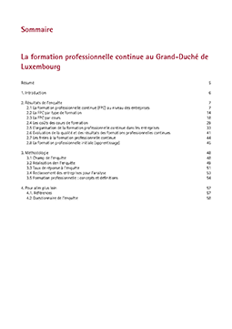 La formation professionnelle continue au Luxembourg - Rapport national de l'enquête européenne (CVTS 4)