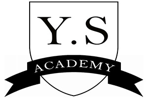 YS ACADEMY - Voir la fiche de cet organisme